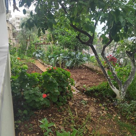 Zani Apartment ساراندا المظهر الخارجي الصورة